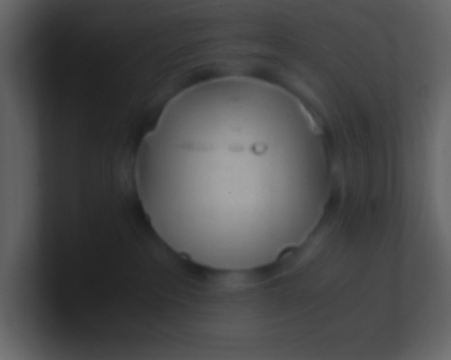 X0000100930237200807081219