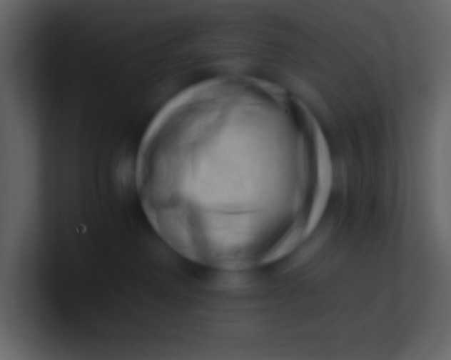 X0000100930238200807081219