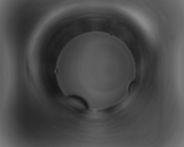 X0000100930239200807081219