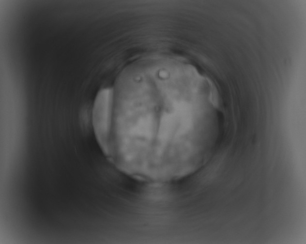 X0000100930240200807081219