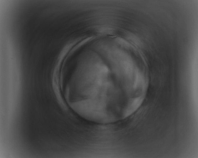 X0000100930241200807081219