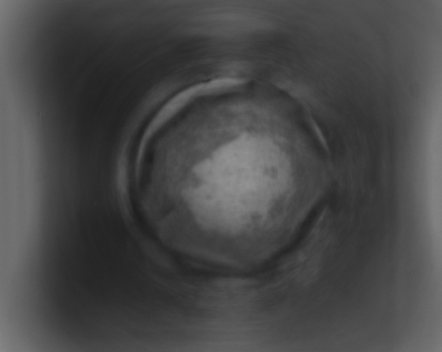 X0000100930242200807081219