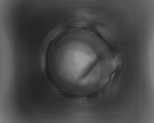 X0000100930243200807081219