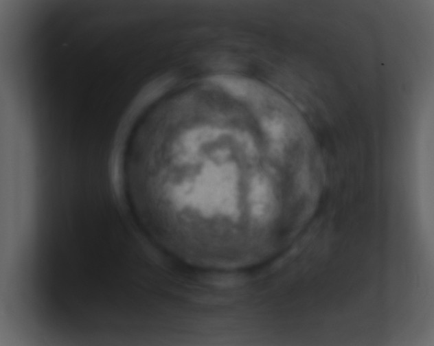 X0000100930245200807081219