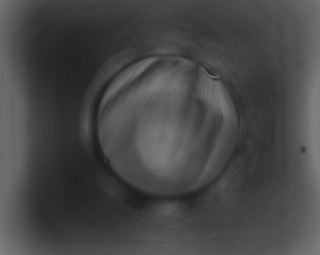 X0000100930247200807081219