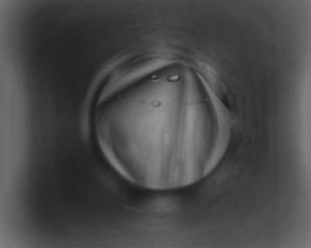 X0000100930248200807081219