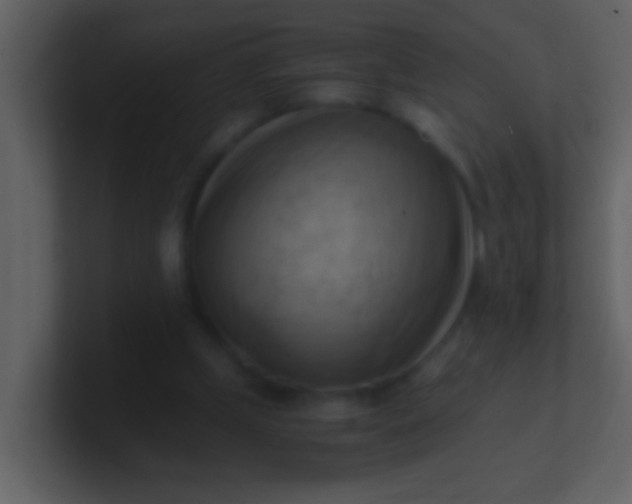 X0000100930249200807081219