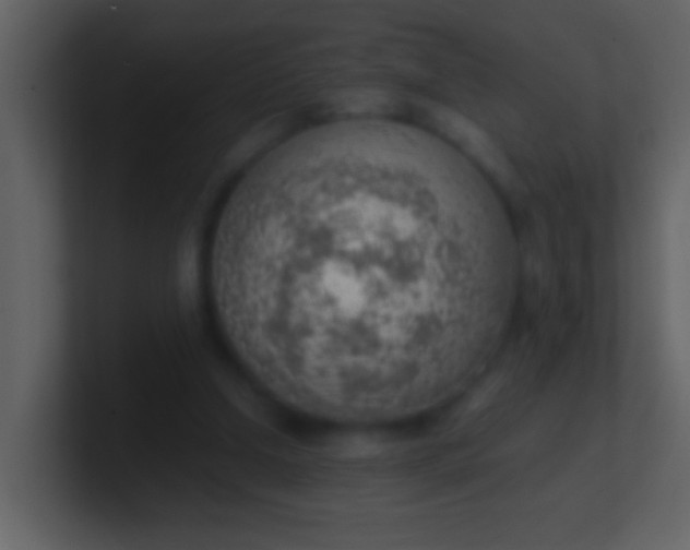 X0000100930250200807081219