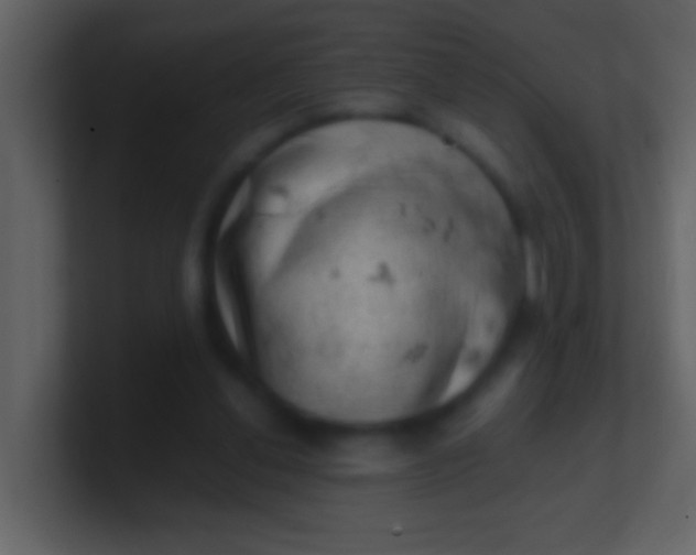 X0000100930252200807081219