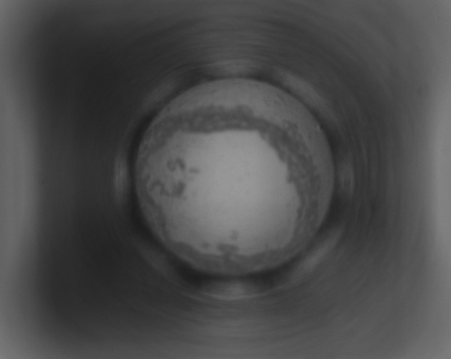 X0000100930254200807081219