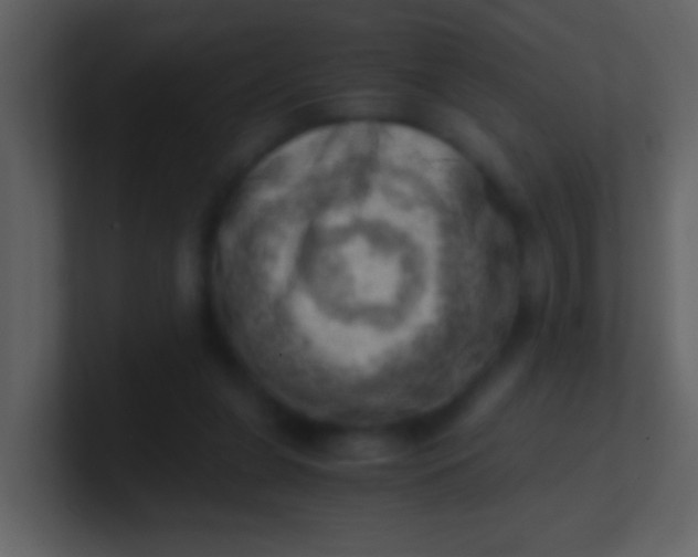 X0000100930255200807081219