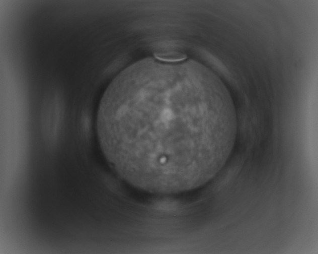 X0000100930258200807081219