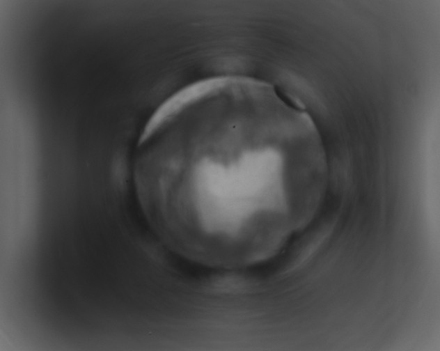 X0000100930259200807081219