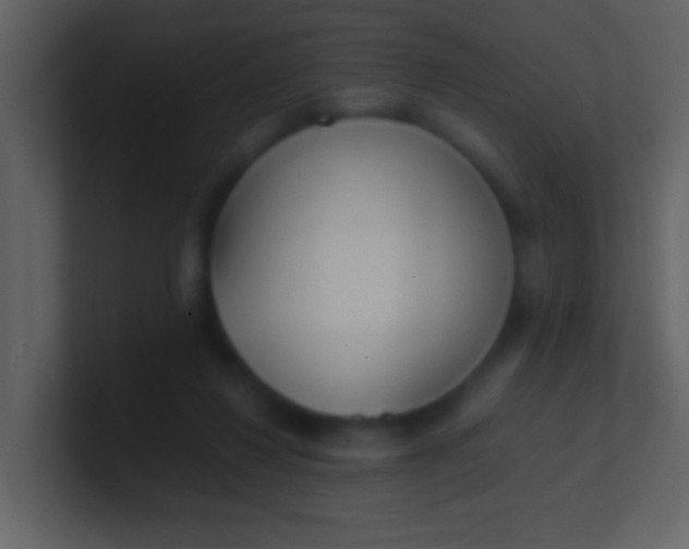 X0000100930260200807081219