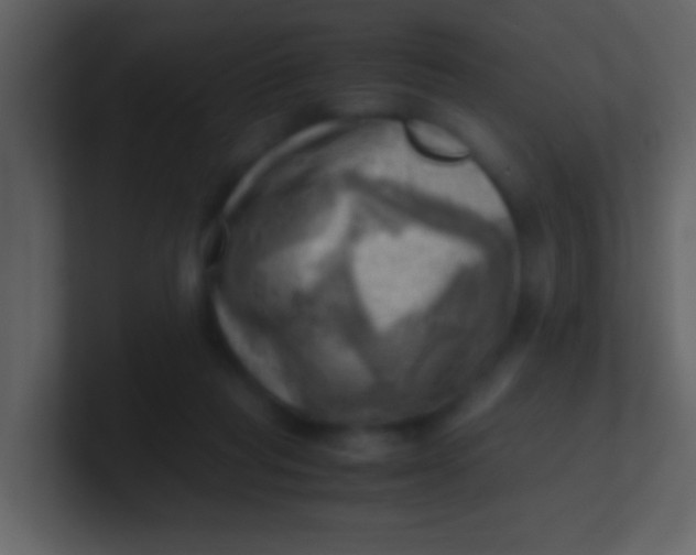 X0000100930261200807081219