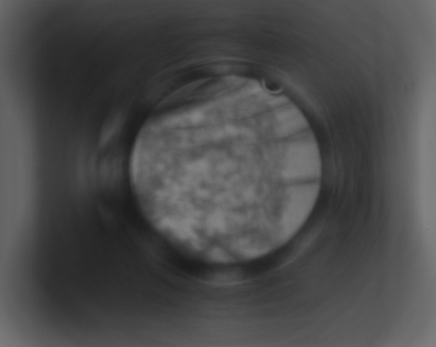 X0000100930263200807081219