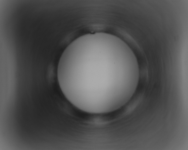 X0000100930264200807081219