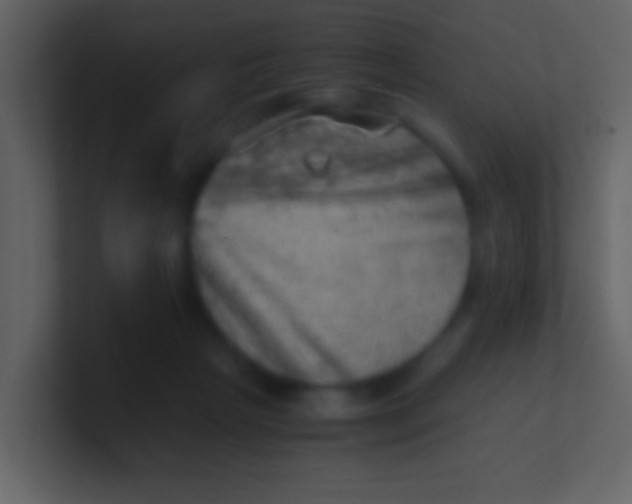 X0000100930265200807081219