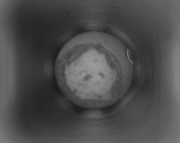 X0000100930266200807081219