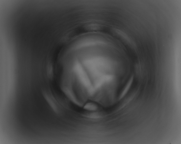 X0000100930267200807081219