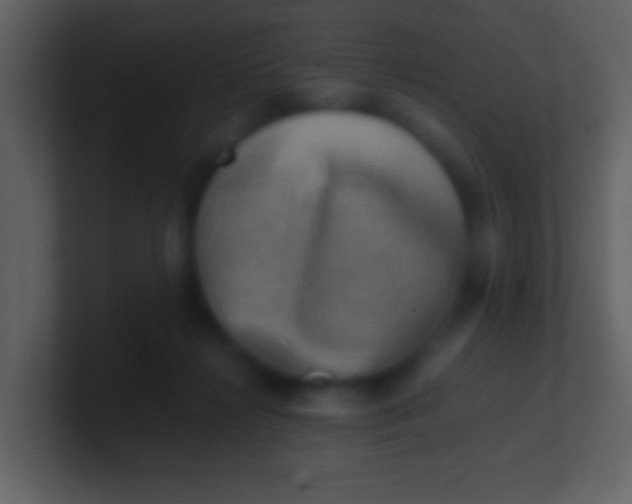 X0000100930268200807081219