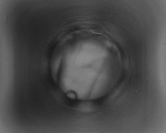 X0000100930271200807081219