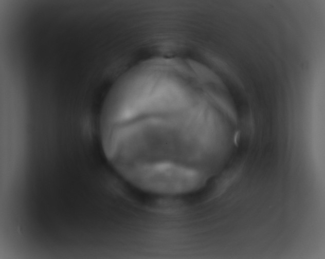 X0000100930272200807081219