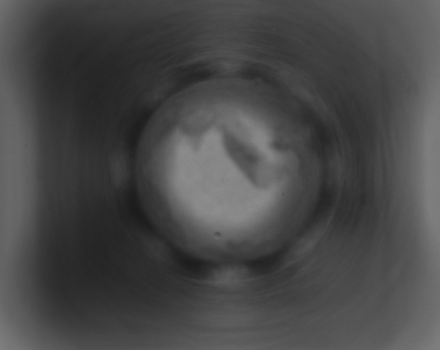 X0000100930274200807081219