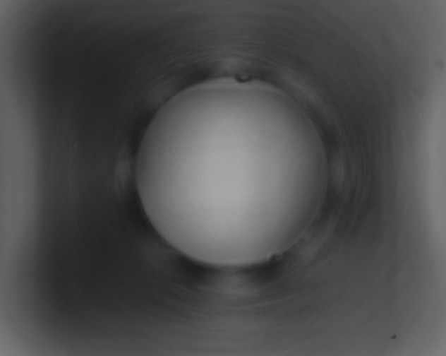 X0000100930276200807081219