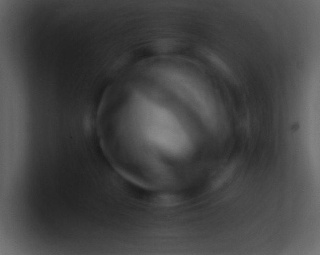 X0000100930277200807081219