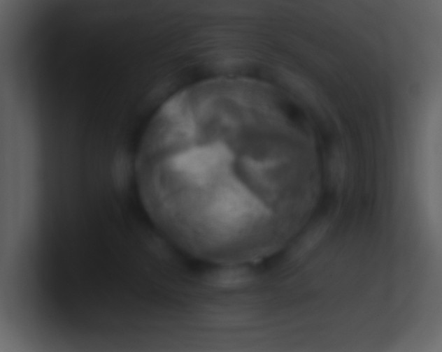 X0000100930278200807081219