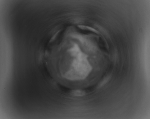 X0000100930281200807081219