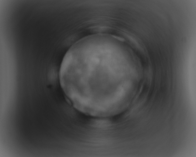 X0000100930284200807081219