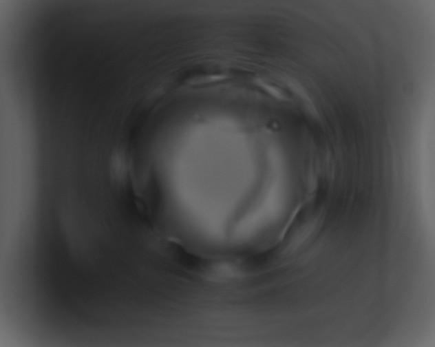 X0000100930285200807081219