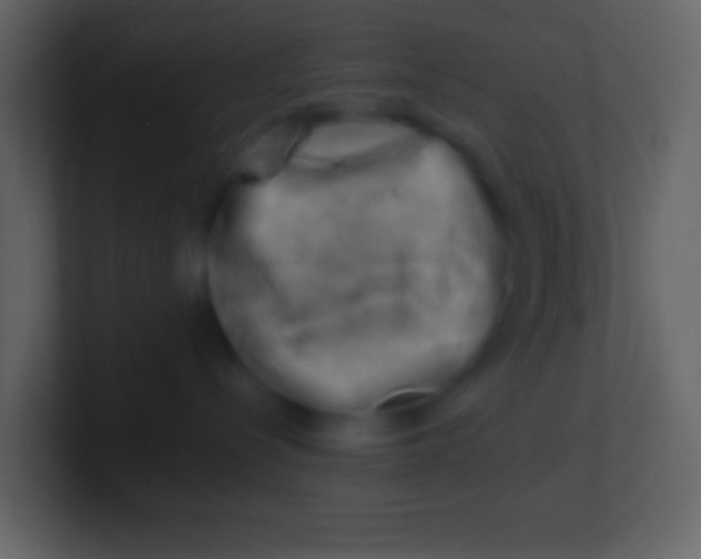 X0000100930288200807081219