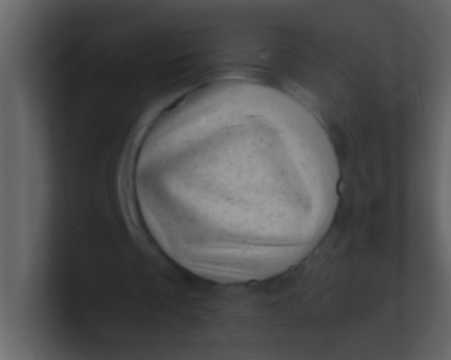 X0000100930289200807081219