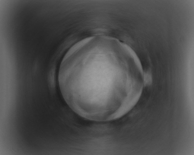 X0000100930291200807081219