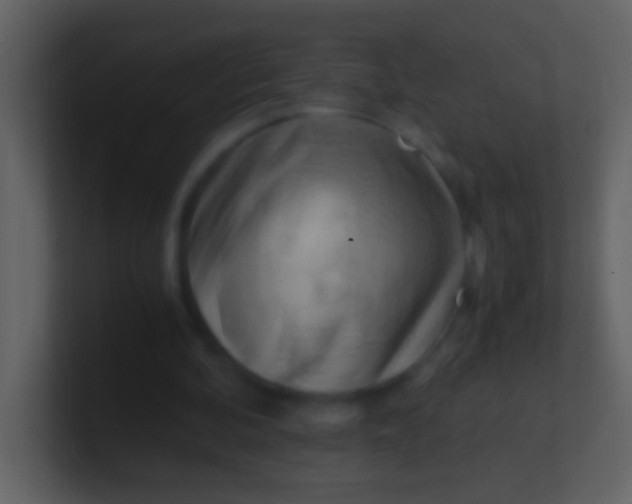 X0000100930292200807081219