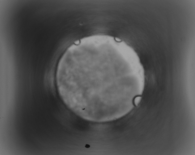 X0000100930293200807081219