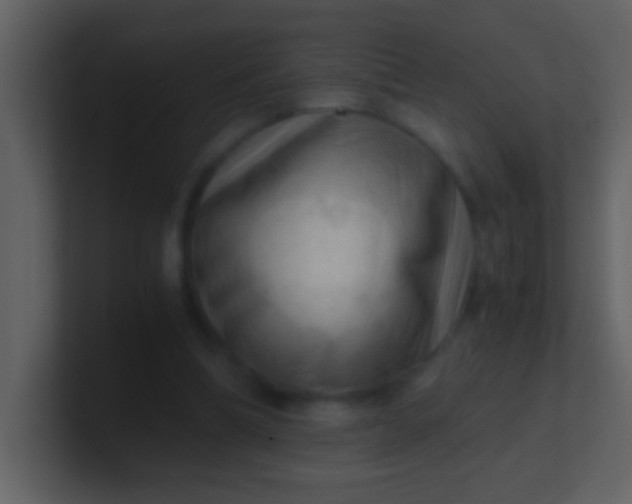 X0000100930298200807081219