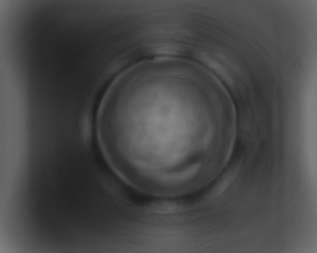 X0000100930299200807081219