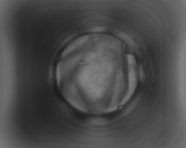 X0000100930300200807081219