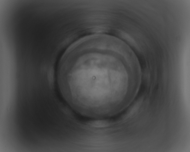 X0000100930303200807081219