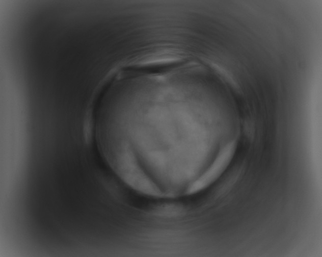 X0000100930304200807081219