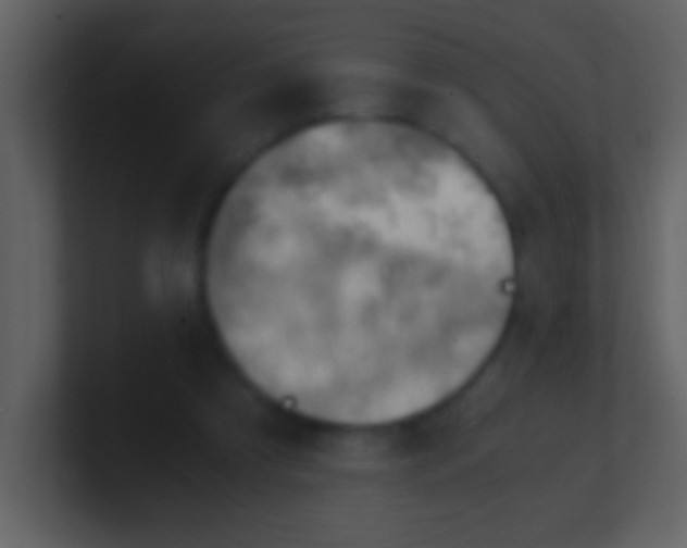 X0000100930305200807081219