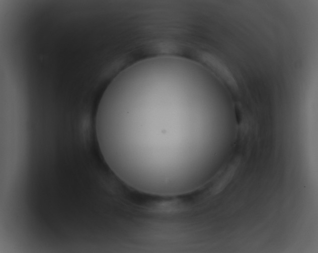 X0000100930306200807081218