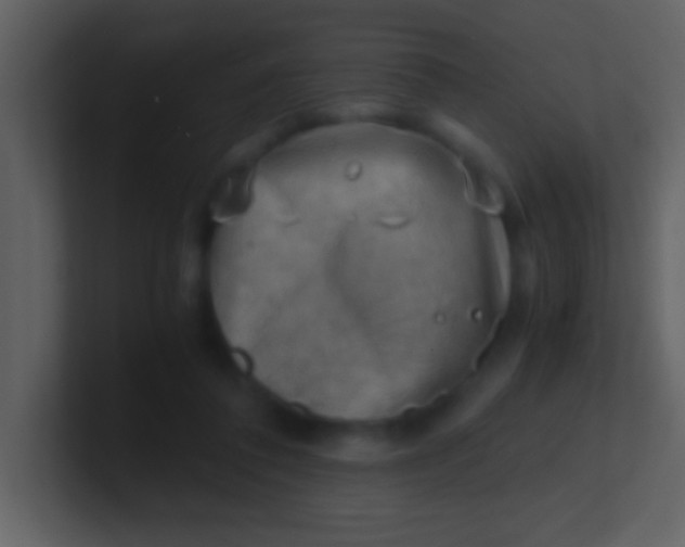 X0000100930308200807081218