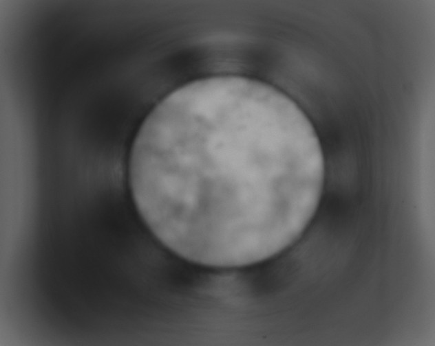 X0000100930309200807081218