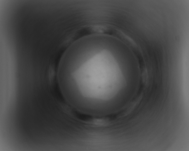 X0000100930314200807081218