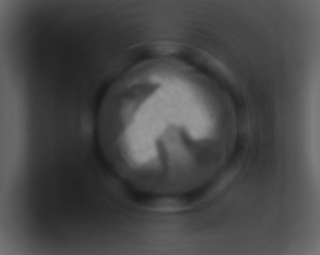 X0000100930315200807081218